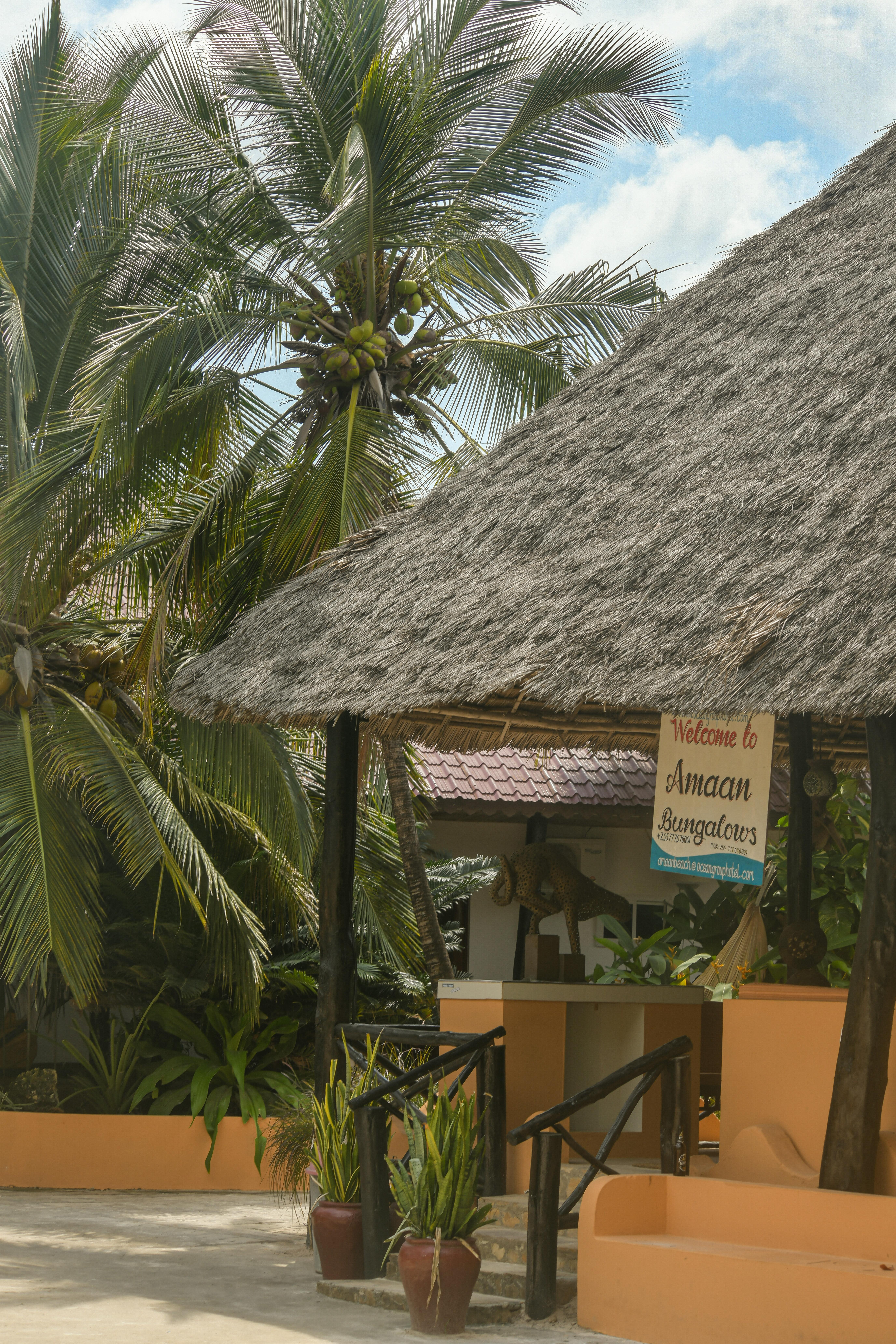 Amaan Beach Bungalows Nungwi Exterior foto
